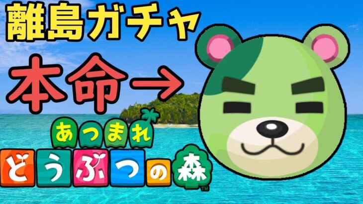 【離島ガチャ】のりおに会いに旅行する【あつ森】