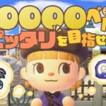 あつ森で10000ベルピッタリを目指したら奇跡が起きたｗ【あつまれどうぶつの森】