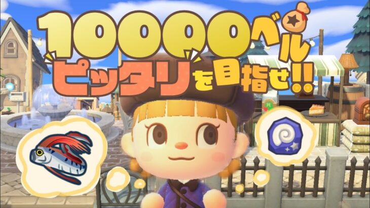 あつ森で10000ベルピッタリを目指したら奇跡が起きたｗ【あつまれどうぶつの森】