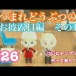 【あつまれどうぶつの森】ついにトンプソンがやってきた！島のお披露目会【島作り】#26