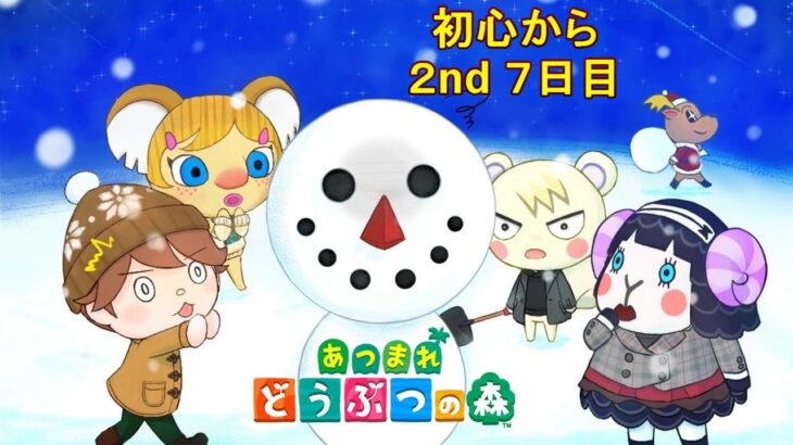 【あつまれどうぶつの森/あつ森】クリスマスイベントやるぞ～！★2年目も初心を忘れず楽しんでいく社会人7日目 【生配信】