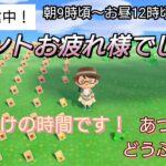 【あつ森】＃390、イベント終わったので後片付け！配信✨【あつまれ どうぶつの森】700日以上毎日連続配信！