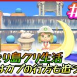 【#54】もう12月ってマ！？カブの行方も追うぞ！！華金のまったりあつ森デー♪【あつまれどうぶつの森】