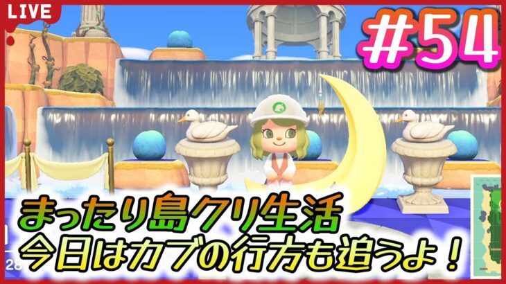 【#54】もう12月ってマ！？カブの行方も追うぞ！！華金のまったりあつ森デー♪【あつまれどうぶつの森】