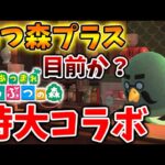 【あつ森】特大コラボも凄い。公式からついに重要メッセージ！あつ森プラスの新作情報が解禁される？【あつまれどうぶつの森/あつ森＋/攻略/実況/bgm/島クリエイター/島紹介/アプデ/新情報/正月/お年玉