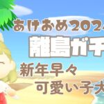 【あつ森】あけおめ2024！新年早々かわいい子たちと出会った離島ガチャ/推し住民を探す旅【ACNH/AnimalCrossing/Nintendo】