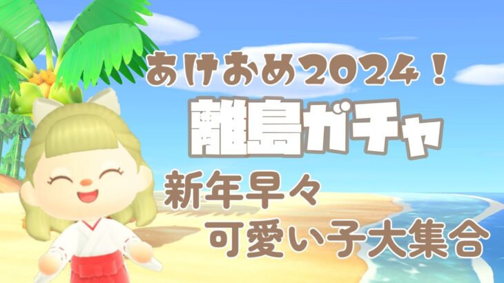 【あつ森】あけおめ2024！新年早々かわいい子たちと出会った離島ガチャ/推し住民を探す旅【ACNH/AnimalCrossing/Nintendo】