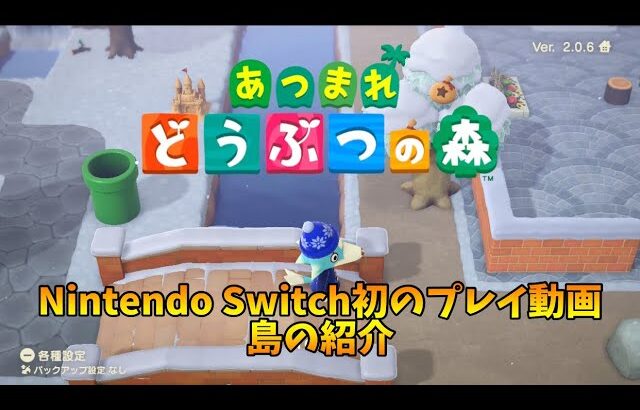 NintendoSwitchあつまれどうぶつの森島紹介