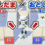 【あつ森】新年の運試し！住民が選んだ部屋は『お年玉』？『落とし穴』？【あつまれどうぶつの森】