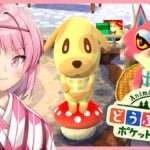 【雑談】昼活ポケ森！イベントやりつつ ルーティーン作業配信！#あつまれどうぶつの森