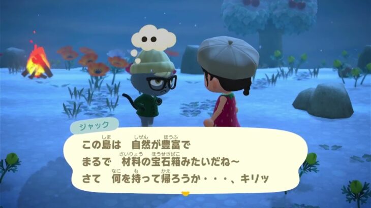 あつ森 20 離島ガチャしてみた！どうぶつを手持ちカメラで撮影♡