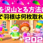 【あつ森】2024年カーニバルで検証【羽根を多くとるコツ＆３０分でハネは何枚とれる？】ベルリーナの長過ぎるアレ・・・