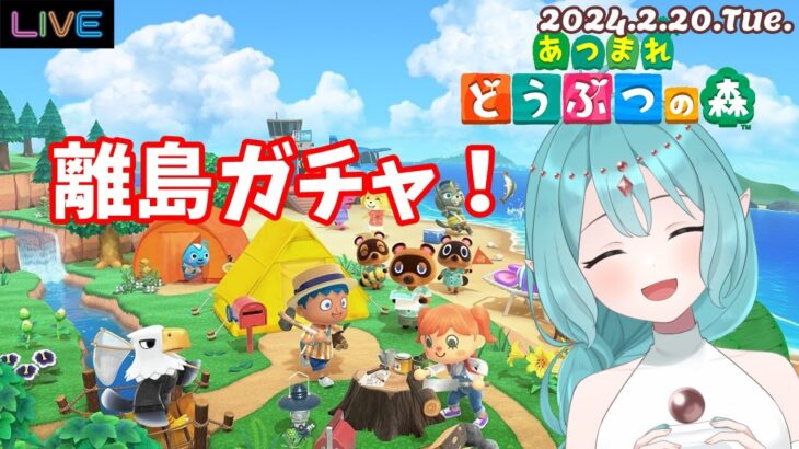 【あつまれどうぶつの森】離島ガチャ！住民厳選するよ！ 2024.2.20.Tue.