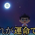 【あつまれどうぶつの森】ヤツが引っ越したのでキャンプサイト厳選をしようとしたら衝撃の結末が待っていました！#8