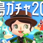 出会えたら即終了⁉離島ガチャでどうぶつたちを探しに行こう！｜あつまれどうぶつの森｜acnh