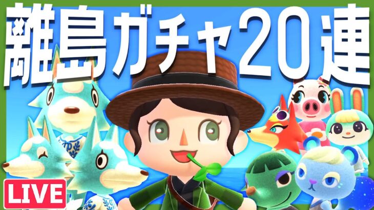 出会えたら即終了⁉離島ガチャでどうぶつたちを探しに行こう！｜あつまれどうぶつの森｜acnh