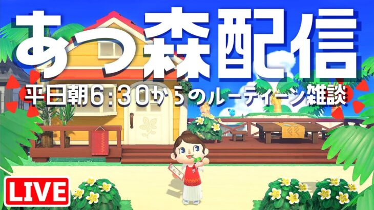 朝イチからハピパラで別荘づくり！あつ森朝活配信🌳挨拶だけでも大歓迎☀️｜あつまれどうぶつの森｜acnh