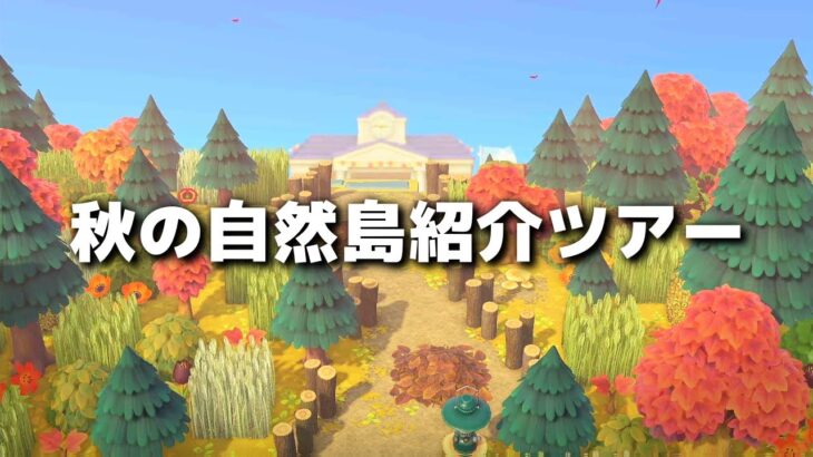 【あつ森】島紹介ツアー 秋のワイルドな自然島完成記念