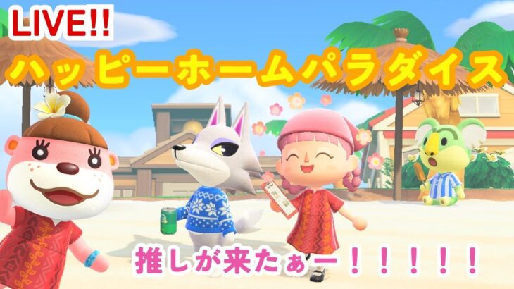 お、推しがキタ！今年初のハピパラ配信！✨【あつまれどうぶつの森/ハッピーホームパラダイス】