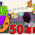 パッチくんに会うまで離島ガチャする！40連！【あつまれどうぶつの森/AnimalCrossing】(女性配信)