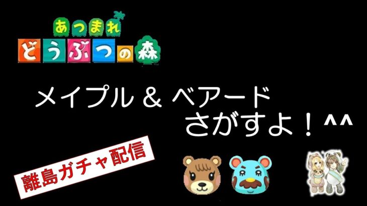 あそくら家の巣🐼🐻✨【◇9】あつまれどうぶつの森 を配信します！！【離島ガチャ】