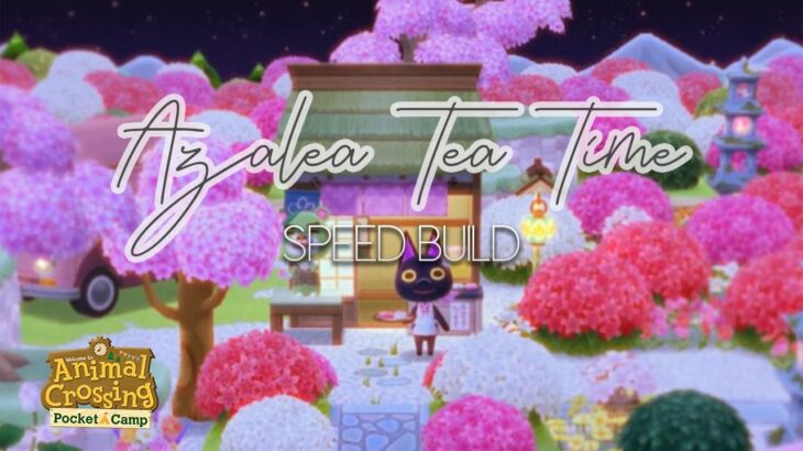 Azalea tea Time Speed build. | Animal Crossing Pocket Camp