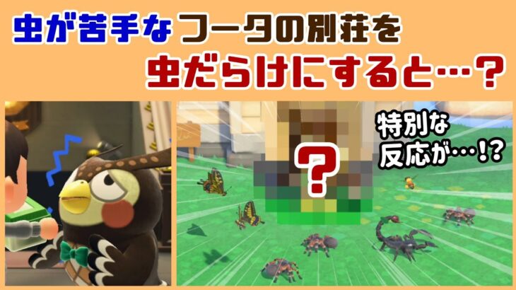 【あつ森】虫が苦手なフータの別荘を虫だらけにすると…特別な反応が…！？ ゲームに隠れた細かすぎる小ネタ集【あつまれ どうぶつの森】@レウンGameTV