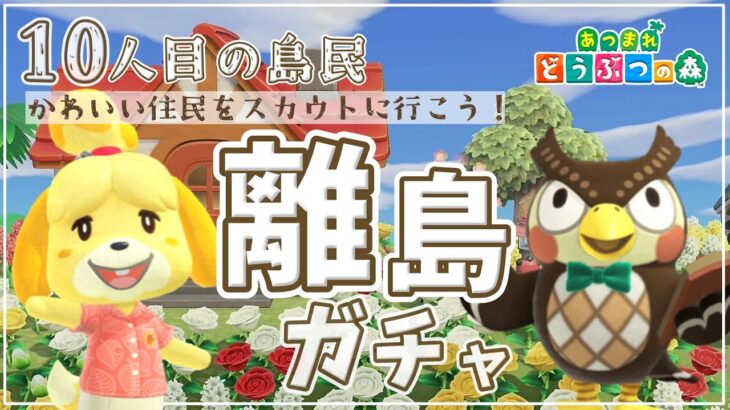 【Live】離島ガチャで10人目をスカウトに🙌どんな出会いがあるかな？🤭＜2024年3月あつ森始めました＞【あつまれどうぶつの森 / Animal Crossing: New Horizons】