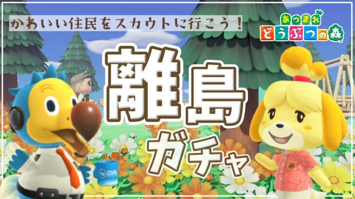 【Live】離島ガチャまた行きます🙌スカウトするぞ～🤭＜2024年3月あつ森始めました＞【あつまれどうぶつの森 / Animal Crossing: New Horizons】