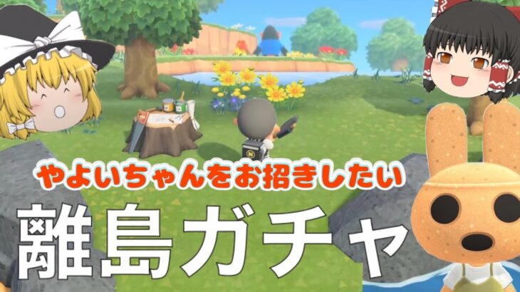 【あつ森】今日こそやよいちゃんと会えるのか？！離島ガチャ行ってみよう♪【あつまれどうぶつの森】【ゆっくり実況】