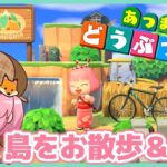 【あつ森｜雑談】10日目🏝️久しぶりに101島を徘徊する！ぎゃおーん🦊【あつまれどうぶつの森】