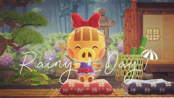 〖 Cozy Ambience 〗🌿A Rainy Day with Daisy Mae and Joan⛈️1 Hour Chill Lo-fi🎧Relaxing Music 〖 ACNH 〗