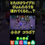 とたけけライブにぴょんたろうを連れてくると、、、？　【あつまれどうぶつの森】 イースターイベント　小ネタ　コラボ　【あつ森】　#Shorts