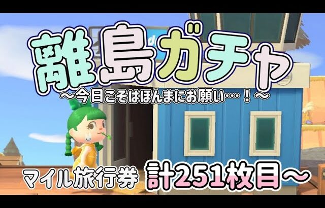 【あつ森 配信】深夜に離島ガチャ251枚目～！今日こそはほんまにお願い、、！【あつまれどうぶつの森】