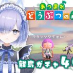 【あつまれどうぶつの森】離島ガチャ40連！フランソワちゃんに会えますように🐰🥕 #8【冥杜りんね】