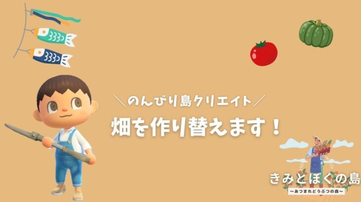 【あつまれどうぶつの森】 畑を作り直します🍅のんびり島クリ配信🏝️