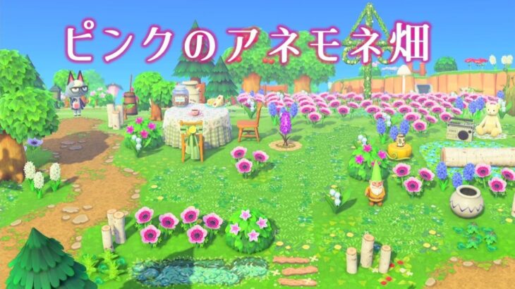 【あつ森】ピンクのアネモネ畑【島クリエイト】