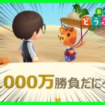 【リベンジ】誕生日にカブで1000万勝負する配信【あつ森生放送】