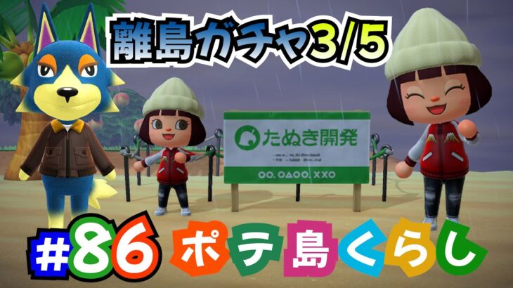 【あつ森】離島ガチャ3/5！そろそろ会えそうな気が！！無人島生活＜ポテ島＞島クリ・ルーティーン作業しつつ雑談 #86