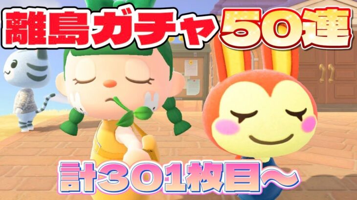 【あつ森 配信】深夜に離島ガチャ351枚目～！今日こそは絶対、、！【あつまれどうぶつの森】