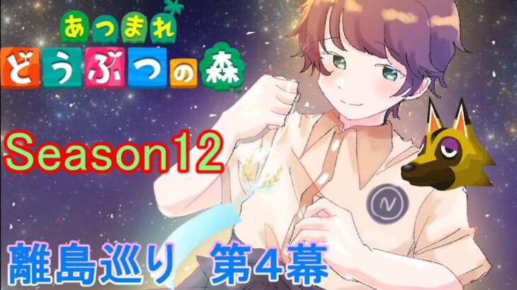 【あつまれどうぶつの森/あつ森】夜遅い時間、離島巡りしていきます🏝～離島ガチャ第４幕Season12～【生配信】