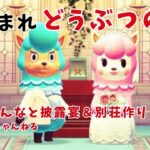 島のみんなと披露宴＆カイゾーさんの別荘作り【あつ森　ハッピーホームパラダイス】