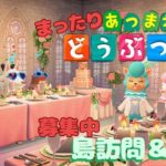 『あつまれどうぶつの森』まったりライブ配信！