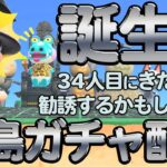 【離島ガチャ】誕生日なので雑談したり、34人目にきた住人を勧誘したりもするゾイ