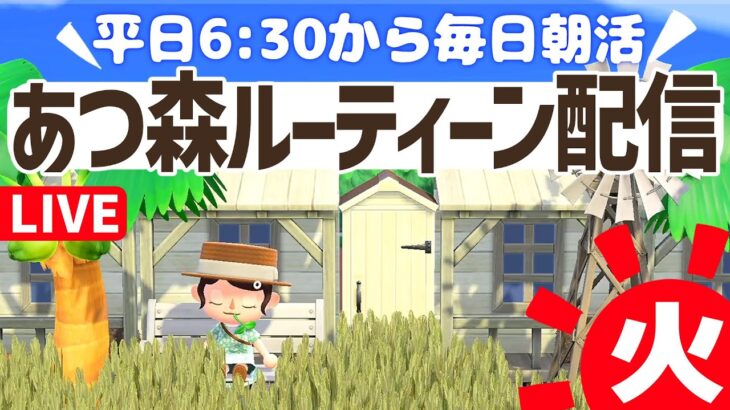 【あつ森】家具のない島で平日6時半からの朝活ルーティーン配信🌳挨拶だけでも大歓迎！｜あつまれどうぶつの森｜acnh