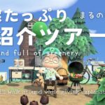 【睡眠・作業用BGM】あつ森 島紹介（声なし）季節感&自然たっぷりの田舎島ツアー| まるのVlog#03《まったり島生活配信》