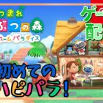 【初見さん大歓迎！】初めてのハッピーホームパラダイスを遊んでいく！！【あつ森】