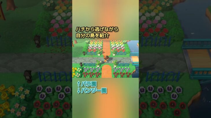 【あつ森】ハチから逃げながら自分の島を紹介します！