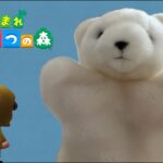 【あつ森】島紹介とハピパラ🐻‍❄️ 【あつまれ どうぶつの森】