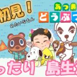 【あつまれどうぶつの森】マイデザインで屋台作りながらいろいろ話す！【島生活25日目】#あつもり #雑談 #あつまれどうぶつの森